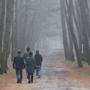 ‘100여마리 반달곰·불곰이 뛰노는 동물원’ 설연휴 여행 명소는? 이미지