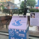 24시 유앤미동물병원 이미지