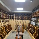 첼로(성인반) 이미지