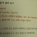 호호야 이미지