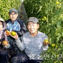 유명덕농장 이미지