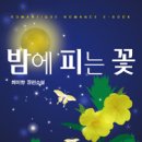 로망띠끄
