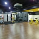 신월복싱체육관 이미지