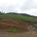 뉴한길공인중개사사무소 이미지