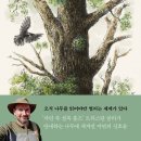 작은나무 이미지