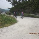 고성섬나들이 Daum카페
