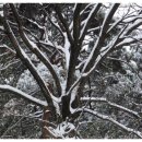 남해우리집 이미지