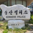 송산팰리스공인중개사사무소 이미지