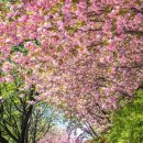 완산-23 이미지