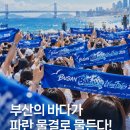 🌊 부산의 바다가 파란 물결로 물든다! 이미지