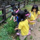 금란어린이집 이미지