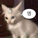 [영화] 검은 수녀들 (쿠키X)