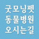 정수동물병원 이미지