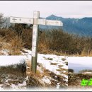 산너울 민박 이미지