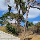 화원1리마을회관 이미지