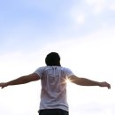 알파레슬링 이미지