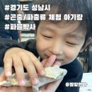 성남 위례 파블박사, 곤충 파충류를 만져볼 수 있는 체험 아기랑 가능할까?