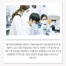 마로한 | 마로한 에클로니아 슬리핑팩 사용 후기