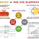 송약국 이미지
