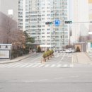 현대모닝사이드아파트 이미지