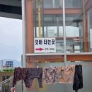 아바이마을 냉면 순대국 맛집 단천식당 솔직후기