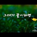 그대가 꽃이라면🌼(자작곡) 예쁜글/시노래/코드/가사 이미지