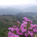 협동조합도계 | 함양 남원의 천령봉, 옥녀봉, 오봉산, 연비산, 문필봉