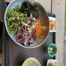 하이안좌