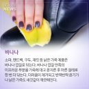 뜰에과일