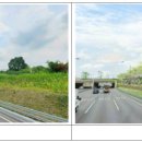 서울선사초등학교 이미지