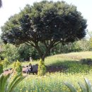 포낙보청기동두천센터 이미지