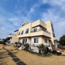 채우리네 | 제주도 애견동반 숙소 '채우리네' 후기입니다