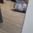 함께냥 앤 함께냥품 북수원점 이미지