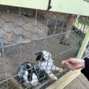 우성목장 2 이미지