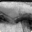 ABC 동물의료센터 이미지