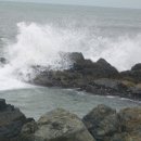 신평마을 이미지