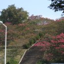 서포문학관 이미지