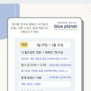 블루플래닛독서기반어학원 | 블루플래닛 영어독서기반 어학원_2026년 2월 단기특강안내