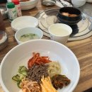 [호주] 7박 8일 시드니 자유여행 #5일차 코스 | 돌고래크루즈, 샌드보딩, 와이너리 투어