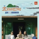 ‘효리네민박’ 시즌2 기획?...“불청객 스트레스 때문에...” 이미지