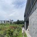 힐담(힐링을담다) 이미지