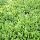 가을농장 이미지