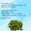 제국주 이미지