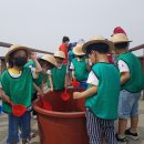 무안생태갯벌과학관 이미지