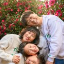 서광리-12 이미지