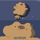 블루샥거제장평점 이미지