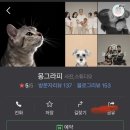 몽그라피 이미지