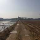 초락1리 이미지