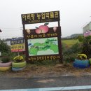 농촌체험장 Daum카페