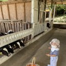 연준목장 이미지